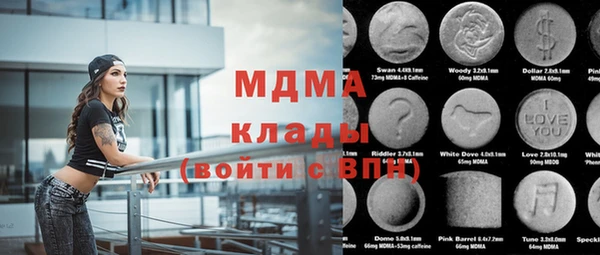 индика Елабуга