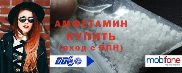 индика Елабуга