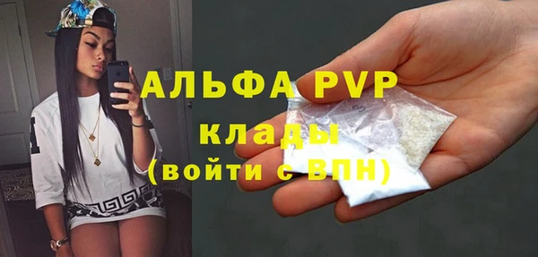 индика Елабуга