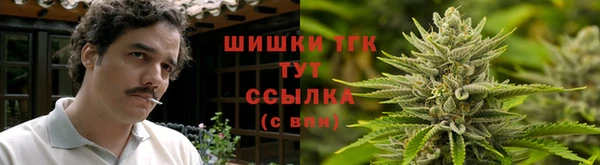 мяу мяу мука Ельня