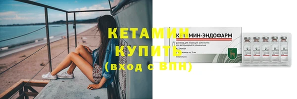 индика Елабуга