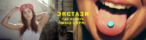 индика Елабуга