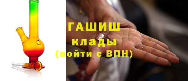 индика Елабуга