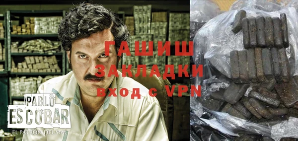 индика Елабуга