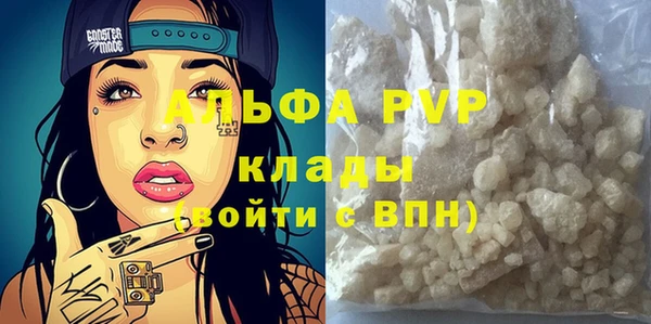 индика Елабуга