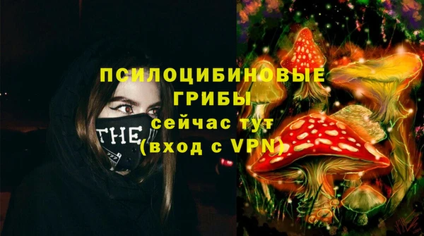 индика Елабуга