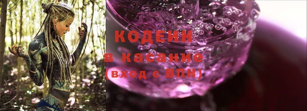 индика Елабуга
