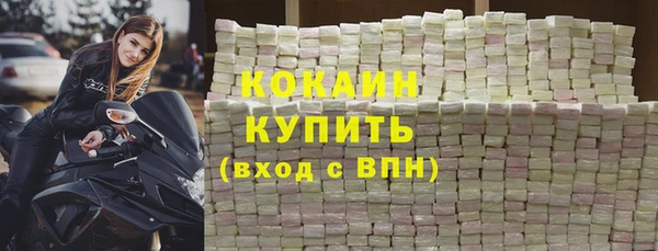 индика Елабуга