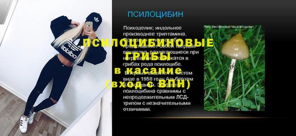 мяу мяу мука Ельня