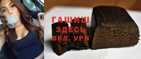 индика Елабуга